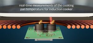 Doppio sensore di temperatura
